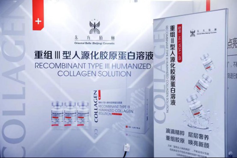 澳魅诗贸易:市场洞察与行业发展趋势解析